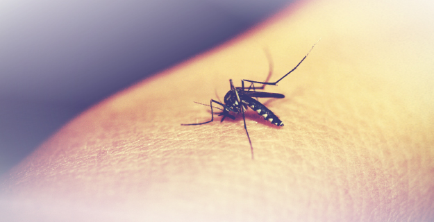 Día contra el Paludismo en las Américas